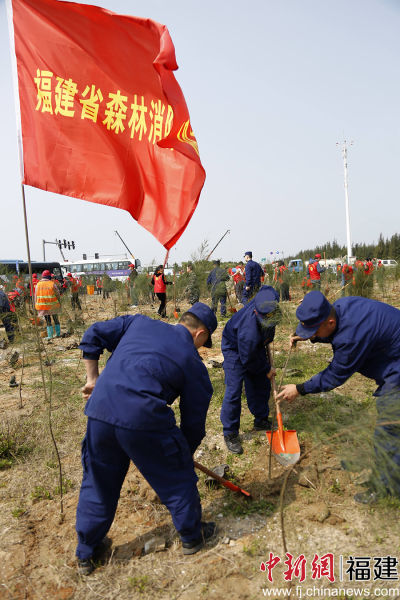 圖為森林消防員參加植樹活動(dòng)。