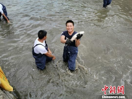 　　22日，2019羅源·中房健身休閑旅游豐收節(jié)暨古鎮(zhèn)探寶活動在羅源縣中房鎮(zhèn)舉行。圖為趣味水中摸魚比賽現(xiàn)場。　俞洪標(biāo) 攝