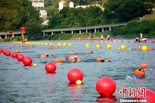 　　兩岸泳者“客家母親河”汀江水域角逐競(jìng)技。　龔雯 攝