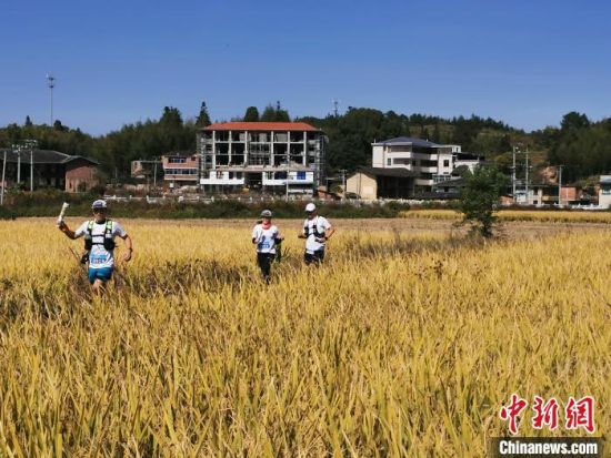 　　第八屆福州定向越野公開賽11月10日在永泰縣大洋鎮(zhèn)舉行。來自福州、泉州、漳州、廈門等地的400多名定向運動愛好者于此開啟了一場以莊寨文化為尋訪主題的越野盛會。圖為選手們在比賽中?！∮岷闃?攝