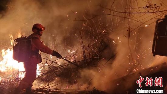 此次森林火災(zāi)過火面積約250畝，沒有造成人員傷亡。福建省森林消防總隊供圖