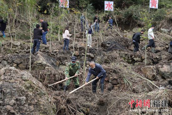 圖為植樹活動現(xiàn)場。黃起青 攝