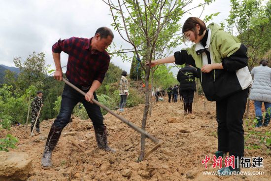 圖為機關(guān)干部職工三兩協(xié)作，揮鍬鏟土、扶苗培土。黃起青 攝副本